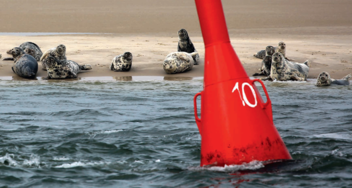 CCS - Offshore Motor Yachting Boote 05/22 Auf zum Strand